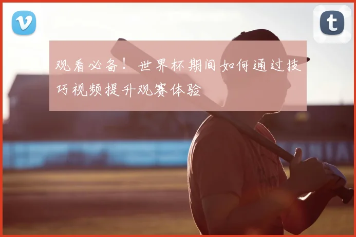观看必备！世界杯期间如何通过技巧视频提升观赛体验