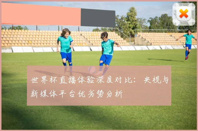 世界杯直播体验深度对比：央视与新媒体平台优劣势分析