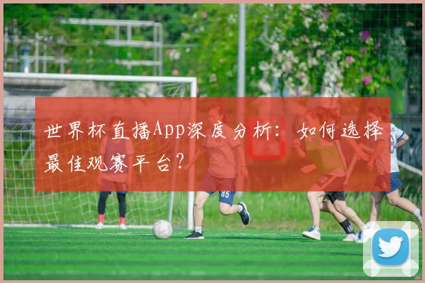 世界杯直播App深度分析：如何选择最佳观赛平台？