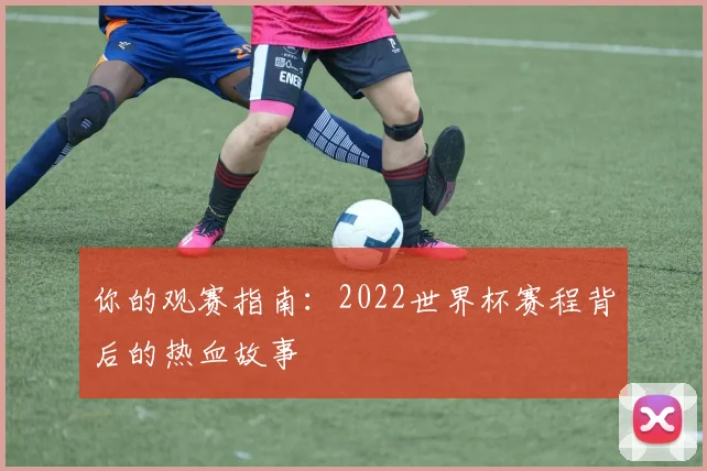 你的观赛指南：2022世界杯赛程背后的热血故事